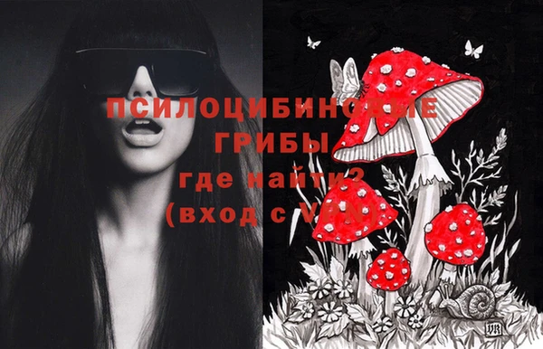 мескалин Осинники