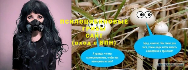 бутират Арсеньев