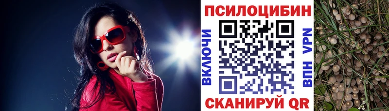 Псилоцибиновые грибы Magic Shrooms  KRAKEN зеркало  Навашино 